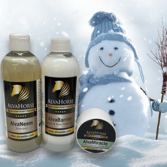Horse Winter Essentials KIT