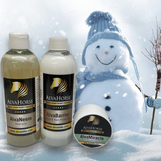 Horse Winter Essentials KIT