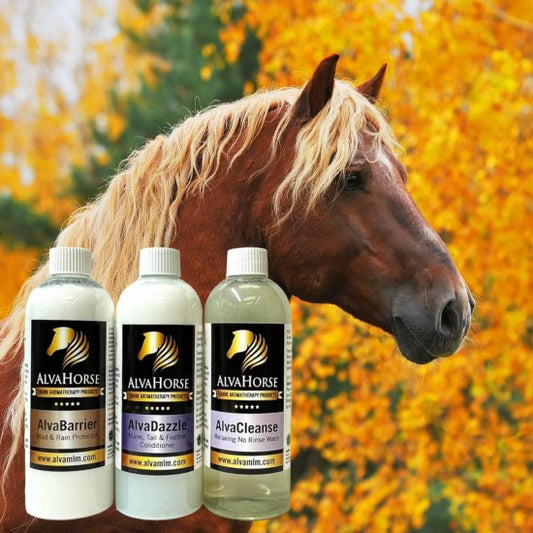Autumn Essentials KIT